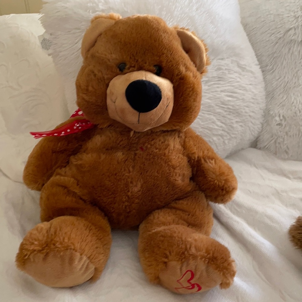 Brown bear with Red and white heart bowtie